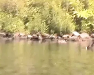 /beam/67a86260cc498f247e875195