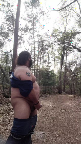 Chubby bear in the woods