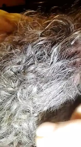 I'm sucking a big cock... pure exstasy
