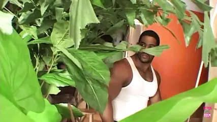 /beam/67a86354cc498f247e934ea2