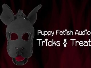 The Puppy Fetish Audio Version