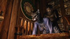 Kharjo Teaches a Young Khajiit 1