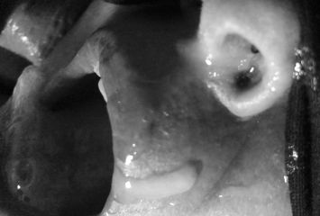 /beam/67a86118cc498f247e766c7e