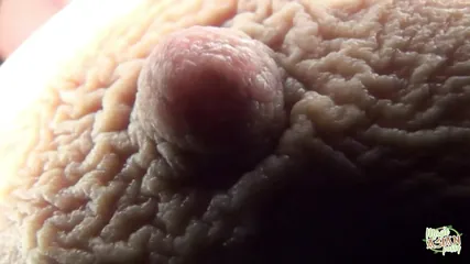 /beam/67a86369cc498f247e944d4b