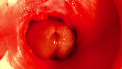 Moaning orgasm in a sweet hole!