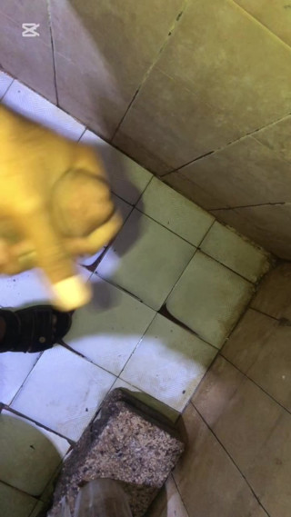 Day 64 hd video